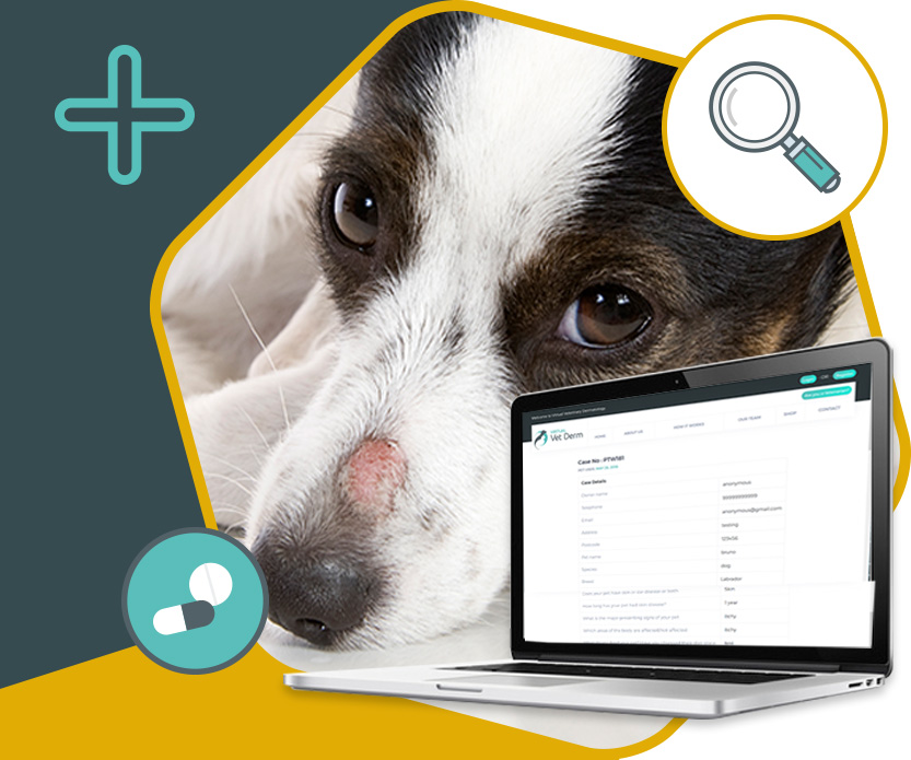 Online Request Forms